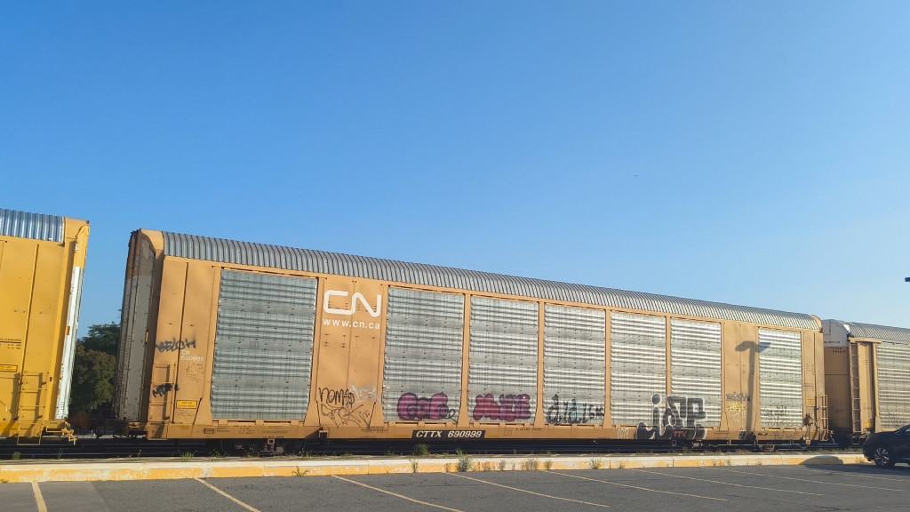 CN 690999 (Body) CTTX 690999 (Flat)